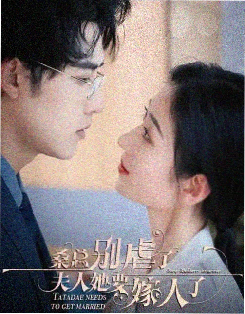 电视剧收视率周榜